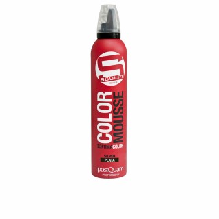 Mousse Fixative Postquam Argenté Réactivateur de Couleur (300 ml)