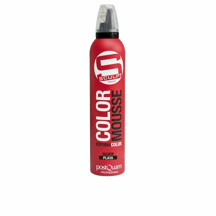 Mousse Fixative Postquam Argenté Réactivateur de Couleur (300 ml)