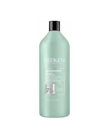 Champú Redken 1 L