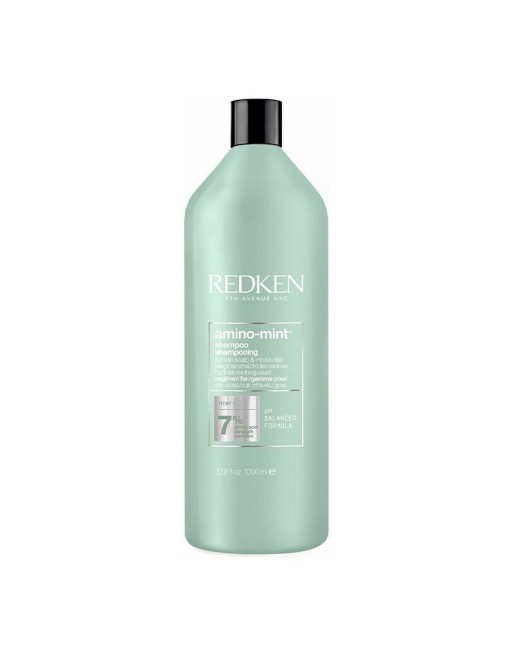 Shampoo Redken 1 L