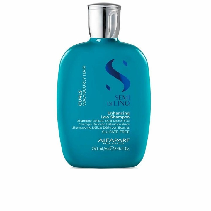 Shampoo Ricci Definiti Alfaparf Milano 8022297111278