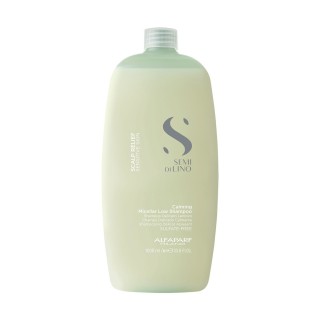 Shampoo Alfaparf Milano Semi Di Beroligende 1 L