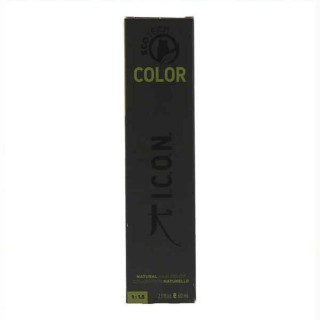 Naturlig Ecotech Color Icon Color Ecotech Brushed Nickel 60 ml