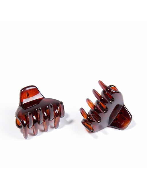Pinze per Capelli Inca Pinza Pequeña Marrone 2 Unità Piccola