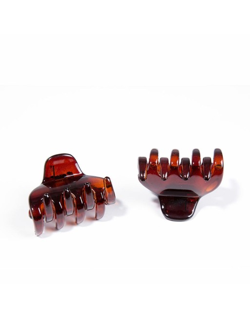 Pinze per Capelli Inca Pinza Mediana Marrone 2 Unità