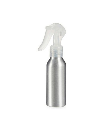 Spray Metallo polipropilene 100 ml (24 Unità)