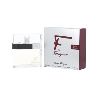 Herreparfume Salvatore Ferragamo EDT F By Ferragamo Pour Homme 100 ml