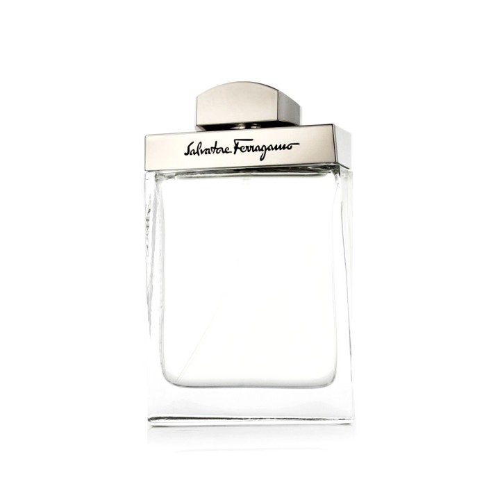 Herreparfume Salvatore Ferragamo EDT Pour Homme 100 ml
