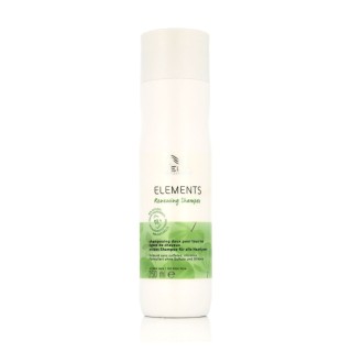 Champú Hidratante Wella Elements 250 ml