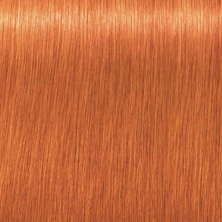 Permanent Farve Schwarzkopf Igora Royal Nº 0-77 Nº 9.0-rubio muy claro 60 ml