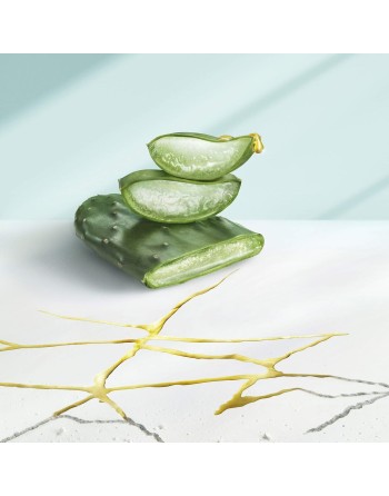 Shampoo Head & Shoulders S Derma X Pro 220 ml