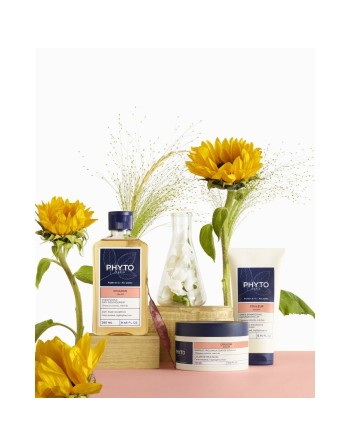 Shampooing Phyto Paris Couleur 250 ml