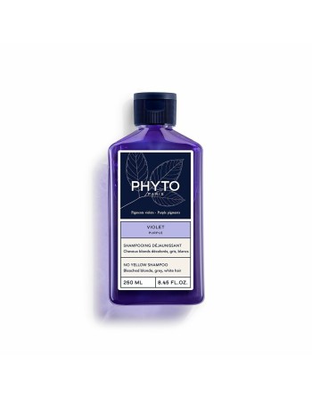Styling Cream Phyto Paris Violet 250 ml