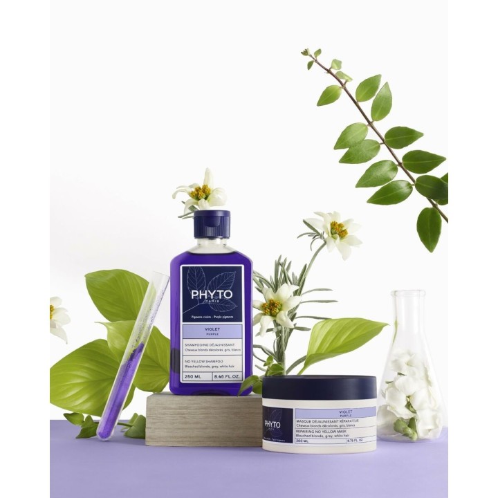 Hårstyling Creme Phyto Paris Violet 250 ml