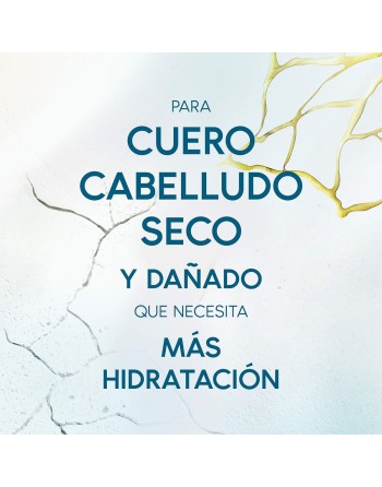 Calming Lotion Head & Shoulders H&S Derma X Pro