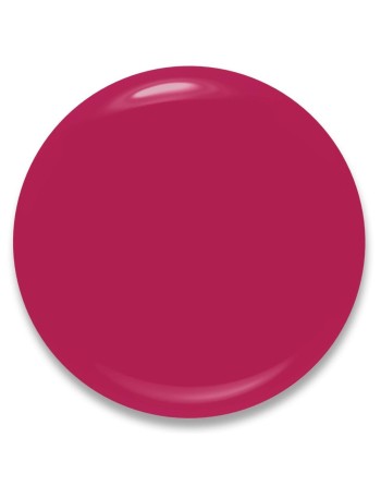 Makeup Sæt Bourjois   Fuchsia 3 Dele