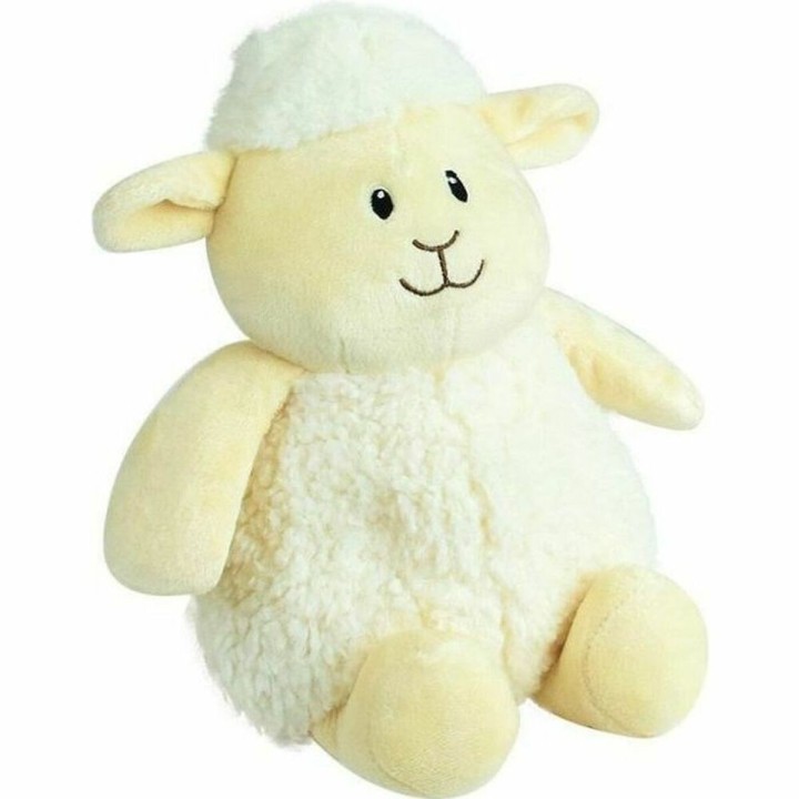 Hot Water Bottle Jemini Ship