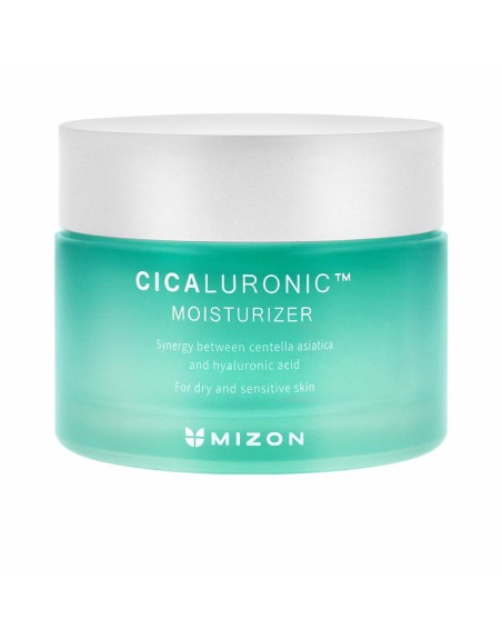 Ansigtscreme Mizon Cicaluronic 120 ml
