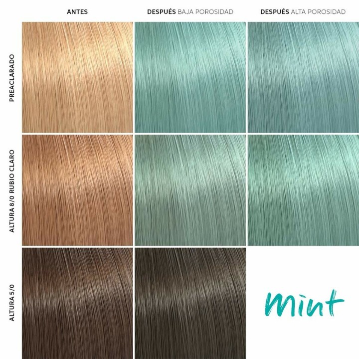 Colorazione in Crema Wella Color Fresh Mint 150 ml