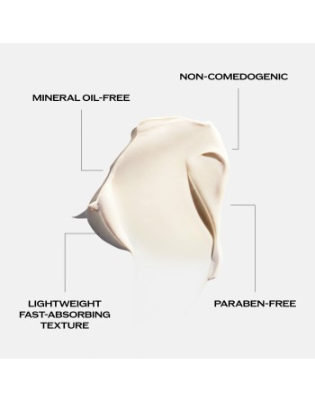 Crème visage Shiseido Essential Energy 50 ml