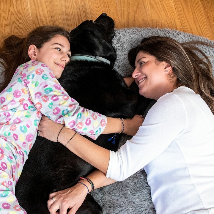 Hundeseng til mennesker  Human Dog Bed XXL InnovaGoods Grey
