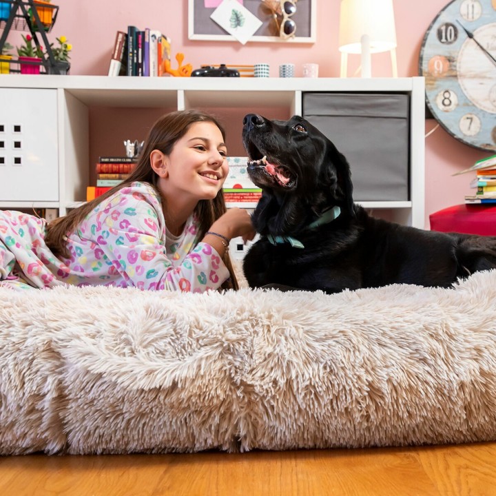 Letto Cani per Umani  Human Dog Bed XXL InnovaGoods Beige