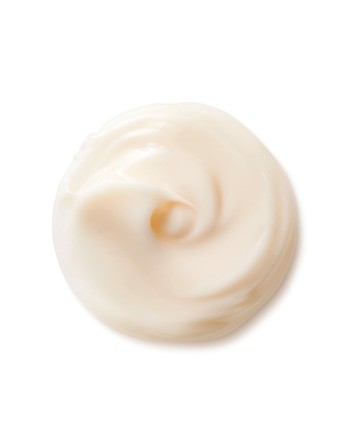 Anti-Aging-Tagescreme Shiseido Benefiance NutriPerfect Spf 15 50 ml