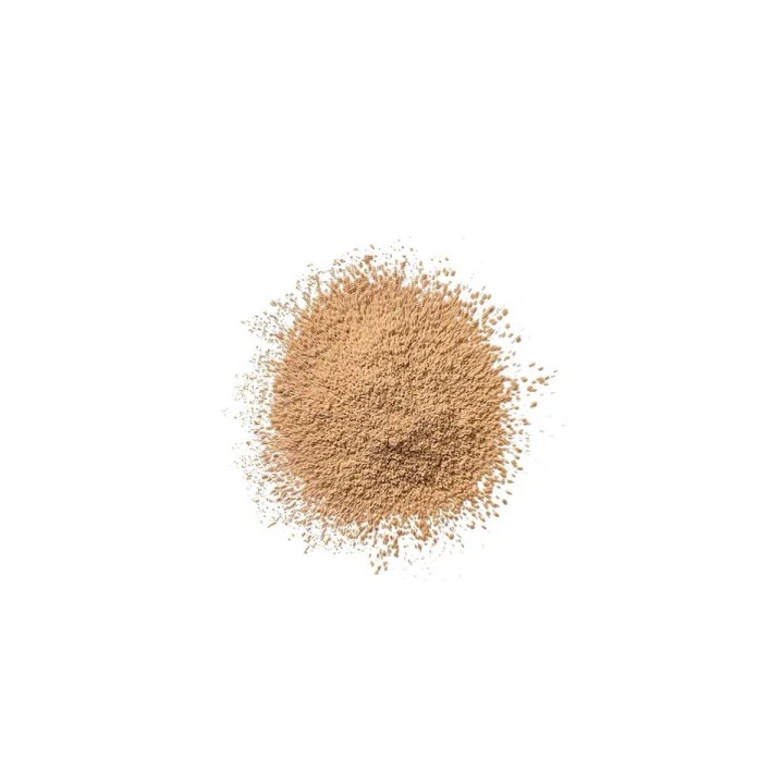 Løst støv Clinique Blended Nº 04 Transparency 25 g