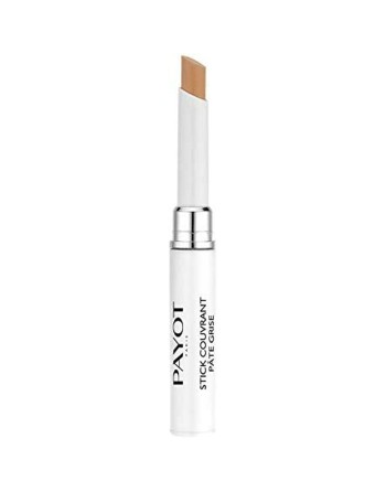 Concealer Blyant Payot Pâte Grise 6 ml 2-i-1 Rensende