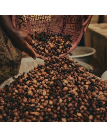 Eau micellaire L'Occitane En Provence Karite 200 ml