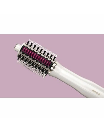 Spazzola Lisciante Shark 900 w (1 Unità)