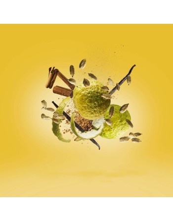 Parfum Unisexe Xerjoff "V" Erba Gold EDP 100 ml