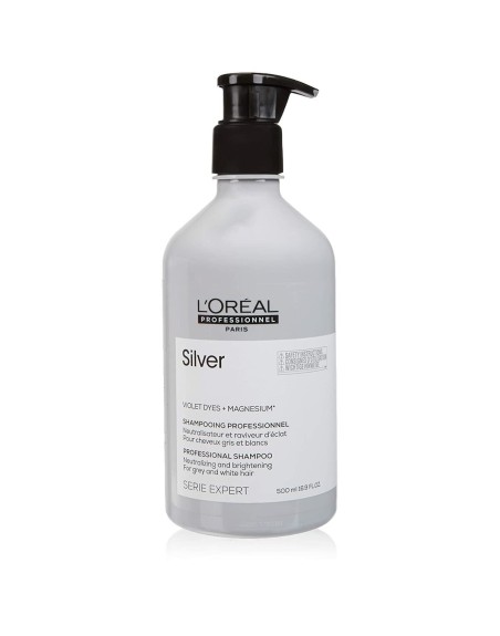 Shampoo zur Farbneutralisierung L'Oreal Professionnel Paris Magnesium Silver