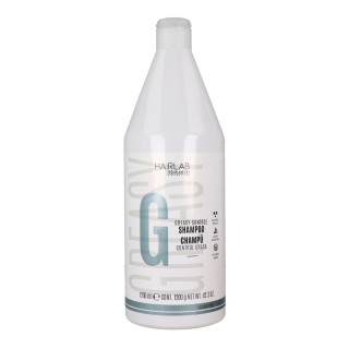 Shampoo Salerm Control 1,2 L Fedt hår
