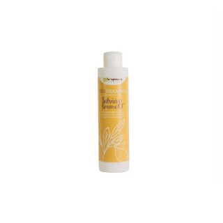 Shampooing La Saponaria Bio 200 ml Citron Sauge