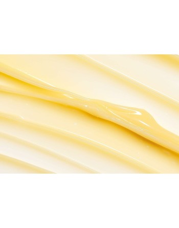 Crème stylisant L'ANZA Healing Style 125 g Texturiseur