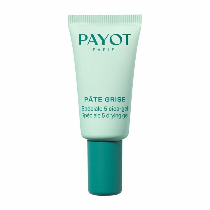 Dagcreme Payot PÂTE GRISE