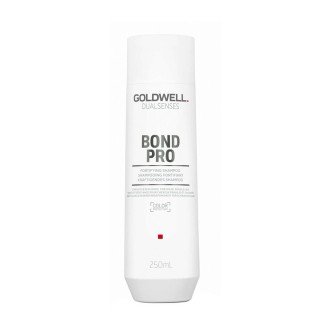 Champú Goldwell 250 ml