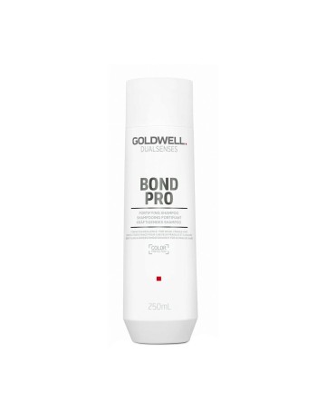 Shampooing Goldwell 250 ml