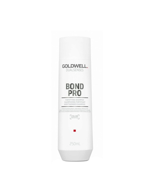 Shampooing Goldwell 250 ml