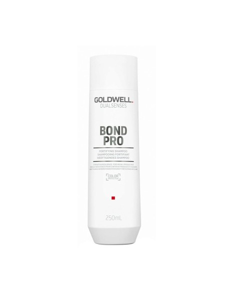 Shampoo Goldwell 250 ml