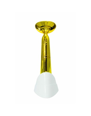 Cleansing Facial Brush Drakefor DKF-1097 Golden
