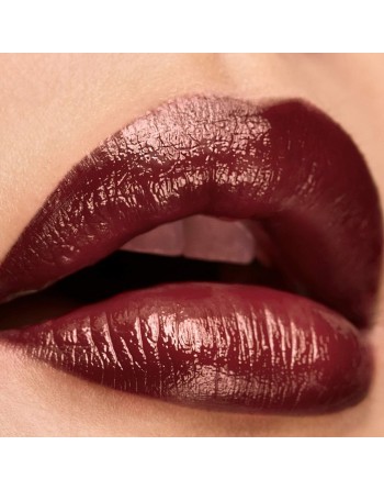 Læbepomade Elizabeth Arden Lip Color Nº 17 Chry glze 4 g