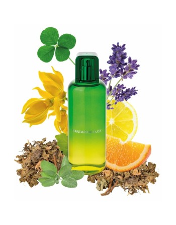 Herrenparfüm Mandarina Duck The Mandariners EDT 100 ml