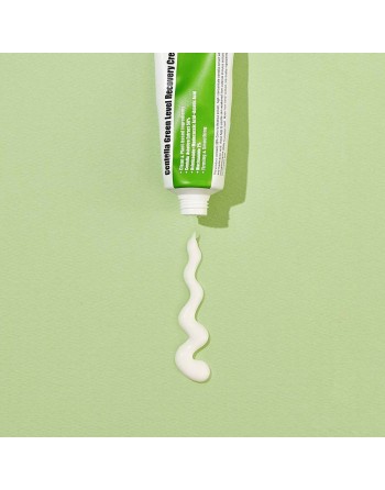 Day Cream Purito CENTELLA 50 ml