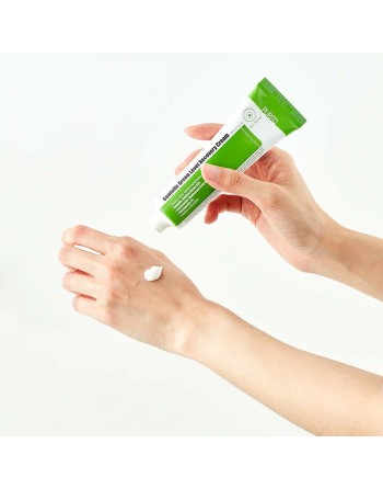 Day Cream Purito CENTELLA 50 ml
