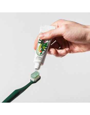 Zahnpasta Toothpaste Rucola