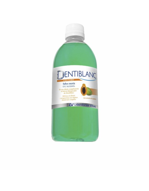 Toilettaske DENTIBLANC Mint