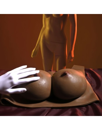 Brystproteser Gender X