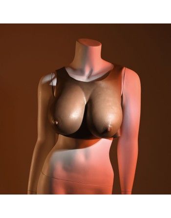 Brystproteser Gender X